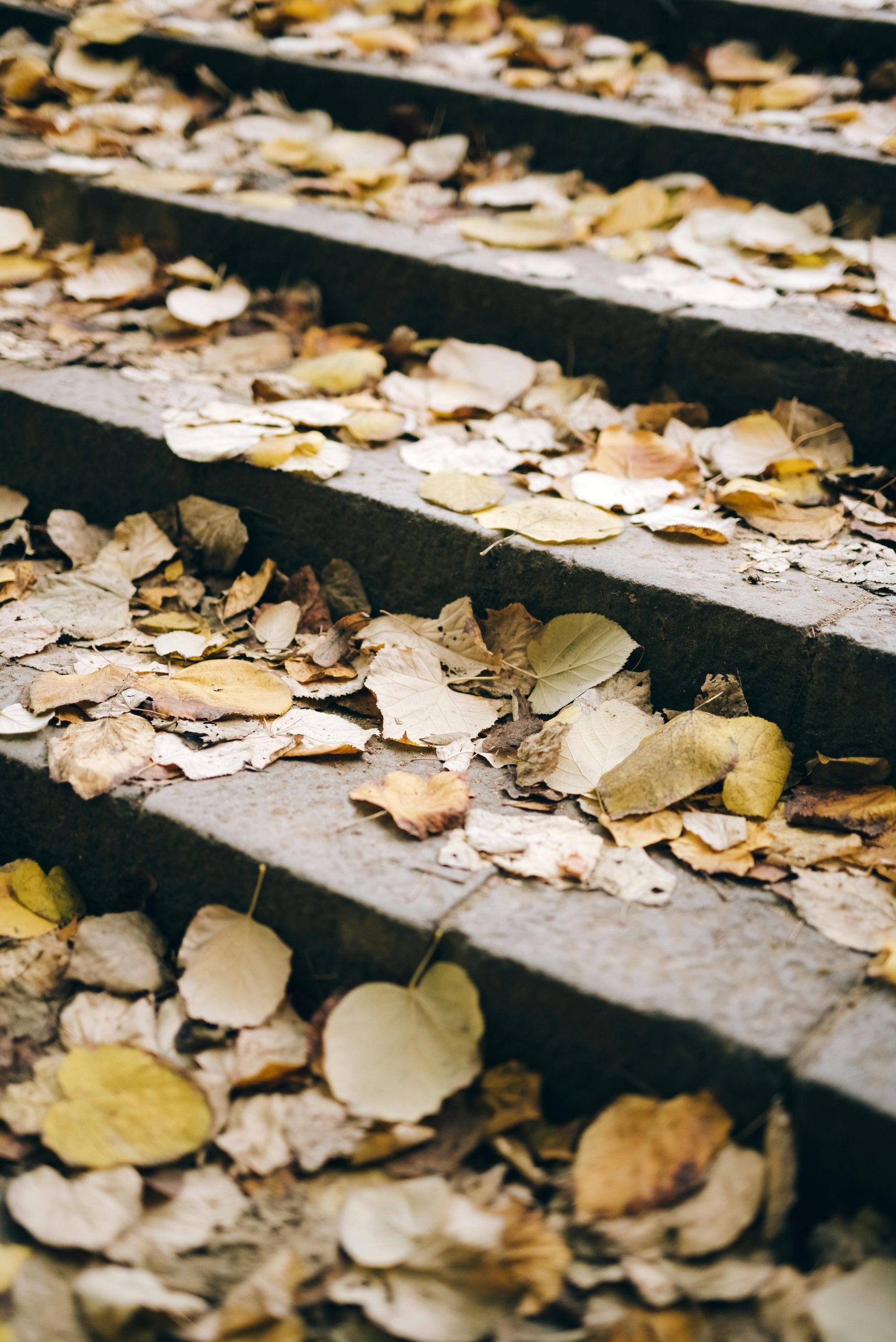 Final Call for Fall Paver Projects: September & October with Gasa Pavers